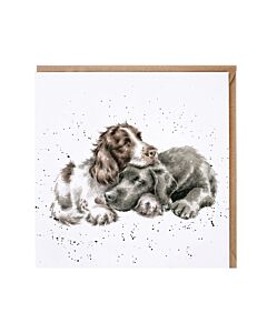Wrendale Designs "Foraging Foray" Woodland Animal Birthday Card